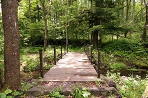 渡辺工務店 土木工事5