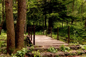 渡辺工務店 土木工事4